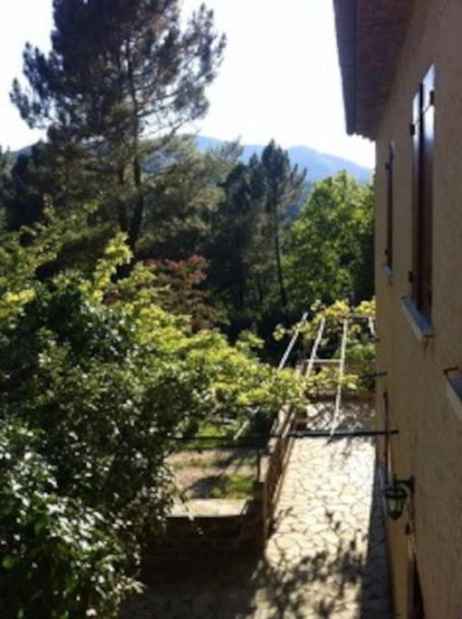 Le Mas Du Rat La Tronche  Esterno foto